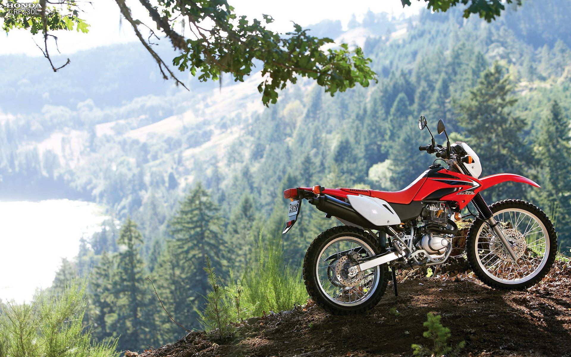 Honda XR